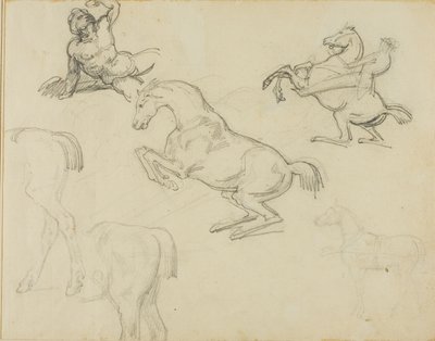 Skisser: Liggande naken, en ryttare och olika hästar av Jean Louis André Théodore Géricault