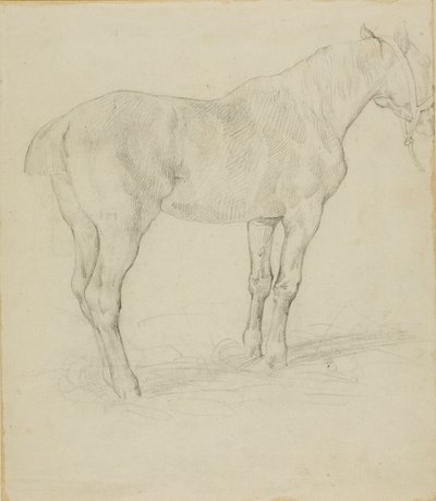 Stående häst av Jean Louis André Théodore Géricault