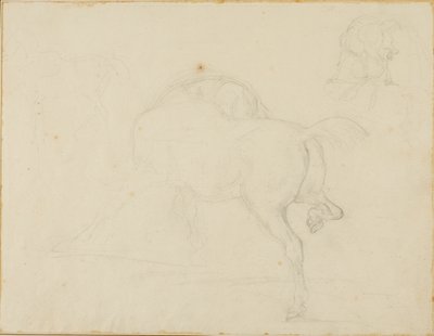 Studie av en häst som vrider på huvudet och lyfter bakbenet av Jean Louis André Théodore Géricault