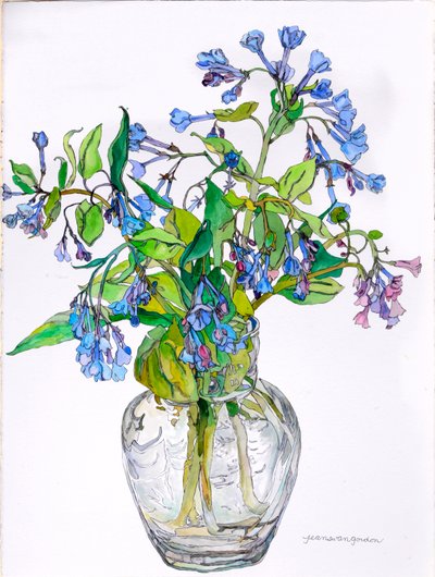 Virginia Blue Bells in Narrow Necked Vase, 2006 (akvarell och bläck på papper) av Jean Swan Gordon
