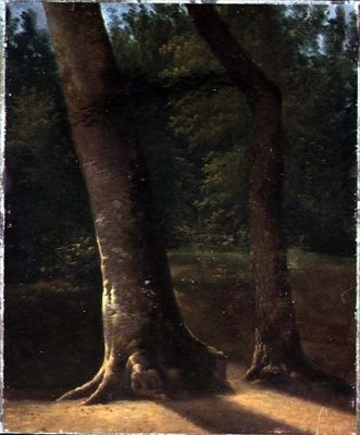 Study of Trees, c.1815 (olja på papper) av Jean Victor (attr. to) Bertin