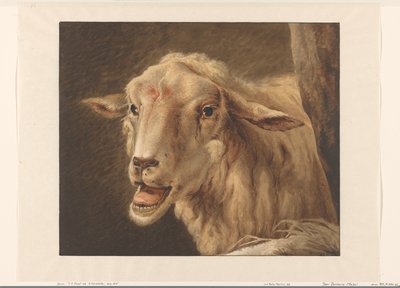 Fårhuvud av Jean Zacherie Mazel
