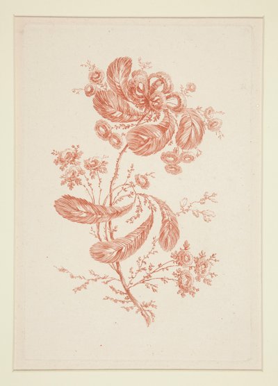Utan titel (Ideala blommor), från en uppsättning om sex av Jeanne Deny
