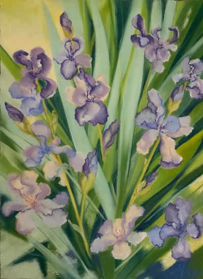 Iriser i en rabatt, 2023 (pastell på papper) av Jeanne Maze