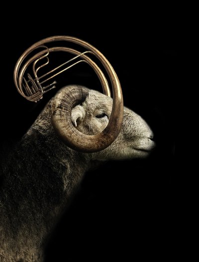 Musikalisk profil för Ram av Jeffrey Hummel