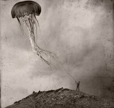 Surrealistisk manetdrake av Jeffrey Hummel