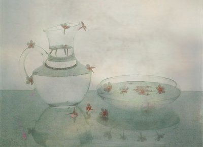 Stilleben i glas med flytande blomblad av Jendy Huang