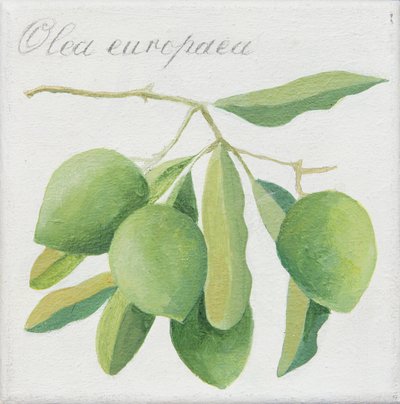 Gröna oliver (akryl) av Jennifer Abbott