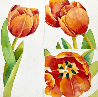 Tre tulpanstudier i en säker, 2013 (akvarell) av Jennifer Abbott