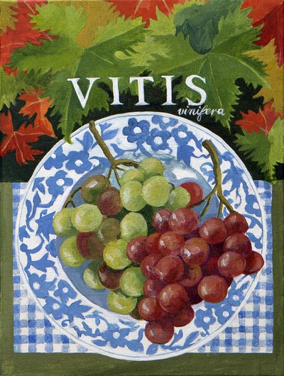 Vitus (vindruvor), 2014 (akryl på duk) av Jennifer Abbott