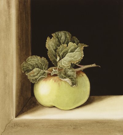 Apple (wc på papper) av Jenny Barron