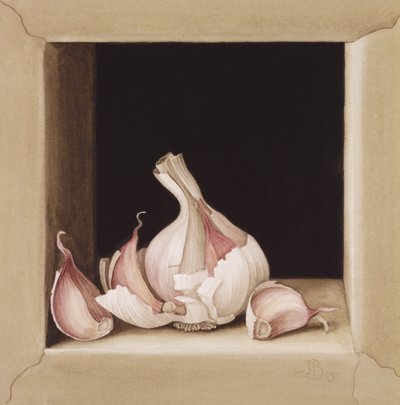 Garlic, 2005 (wc on paper) av Jenny Barron