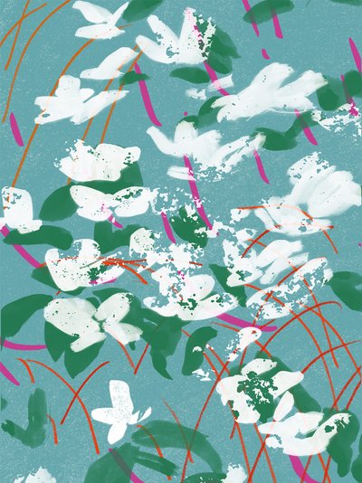 Teal Tales av Jenny Frean