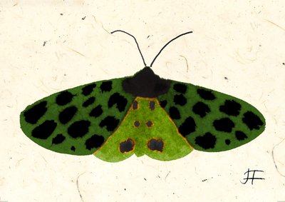 Tiger Moth, 2024 (akvarell på papper) av Jenny Frean