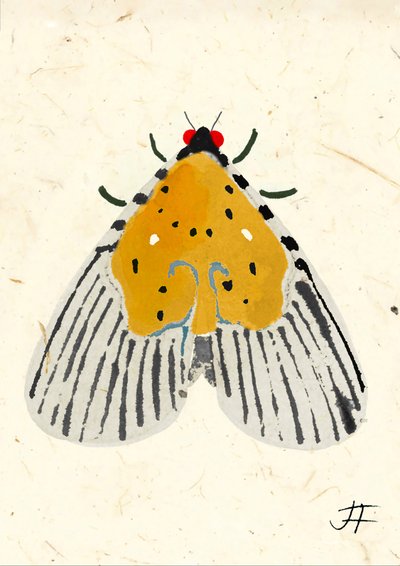 Yellow Moth, 2024 (akvarell på papper) av Jenny Frean