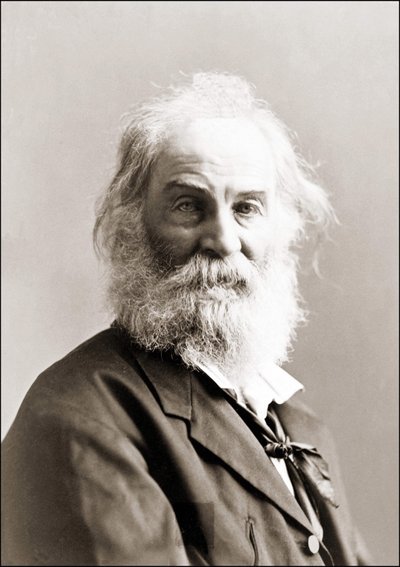 Porträtt av Walt Whitman (1819 - 1892) av Gurney mellan 1880 och 1890. av Jeremiah Gurney