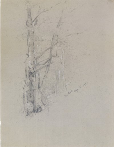 Dry Brook, 1888. av Jervis McEntee