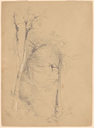 Kaaterskill kryddnejlika av Jervis McEntee