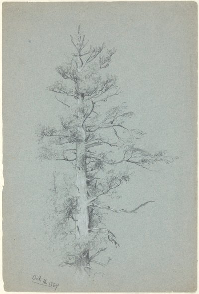 Trädstudie av Jervis McEntee