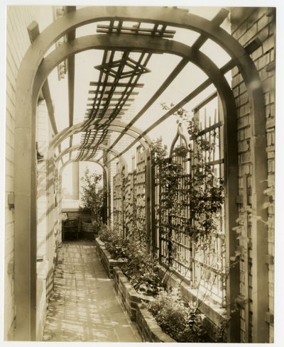 Regina Jais trädgård, ca 1936-37 (gelatinsilverfoto) av Jessie Tarbox Beals