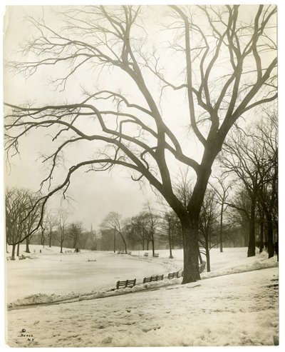 Boston Common & groddamm, vid träd, Boston, USA, ca 1902-10 (foto av gelatinsilver) av Jessie Tarbox Beals