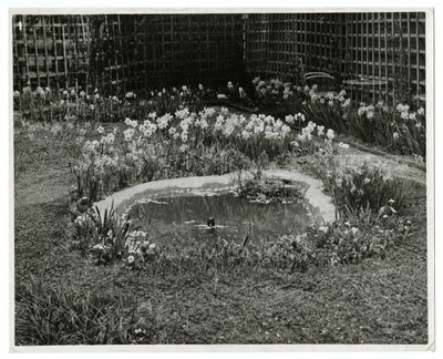 Garden of Mr & Mrs Wm H Wells 265 W 11th St, New York, USA av Jessie Tarbox Beals