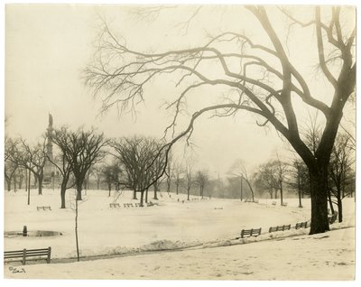 The Common, Boston, USA, ca 1902-10 (foto av gelatinsilver) av Jessie Tarbox Beals