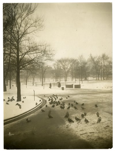 Ovanligt kallt i allmänningen, Boston, USA, ca 1902-10 (foto av gelatinsilver) av Jessie Tarbox Beals
