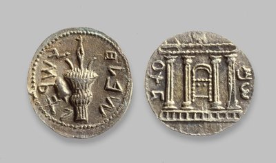 Selah-mynt från Bar Kochba-revolten, 134 AD (metall) av Jewish School