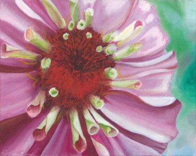 En färgsprakande zinnia i full blom av Jillian Claire