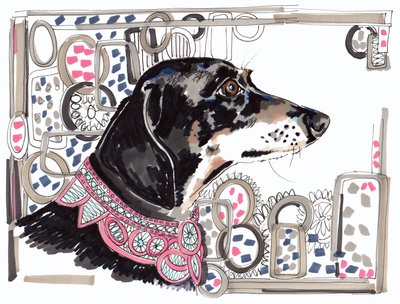 Lacey The Dachshund, 2013, (penna, bläck på papper) av Jo Chambers