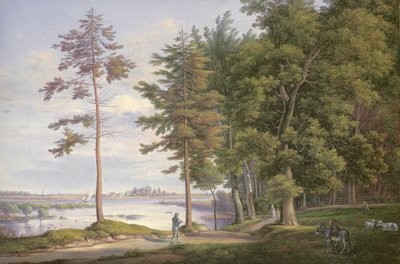 En äng i Hamburg av Joachim Faber
