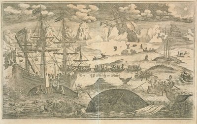 Fisket efter valar av Joachim Wichmann
