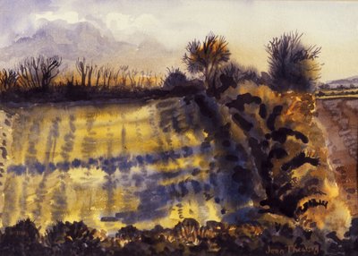 Field with Long Shadows, 1990, vattenfärg på handgjort papper av Joan Thewsey