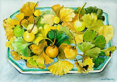 Ginkgo, frukt och löv, 2010, akvarell av Joan Thewsey