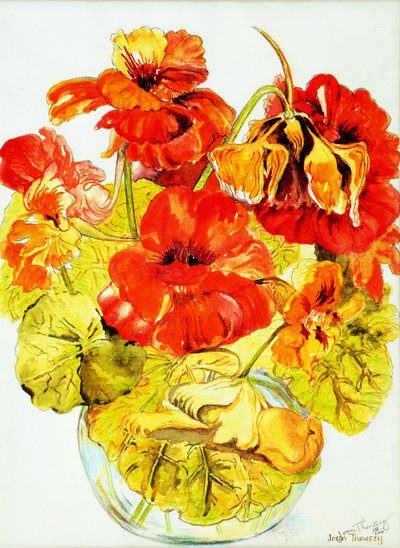 Nasturtiums, 2005, (vattenfärg) av Joan Thewsey