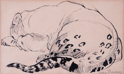 Sketch, Leopard, London Zoo 2005, (penna och bläck) av Joan Thewsey