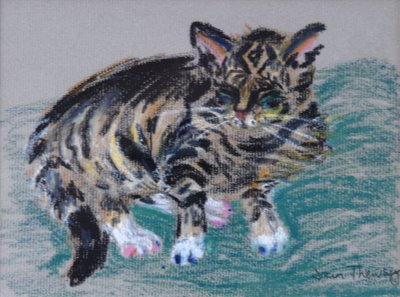 Tabby Cat, 2005 (pastell) av Joan Thewsey