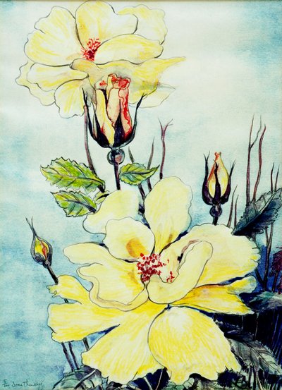 Yellow Rose in a Suffolk Breeze, 2005, (vattenfärg) av Joan Thewsey