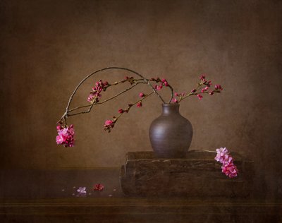 Stilleben med körsbärsblommor av Joanna W