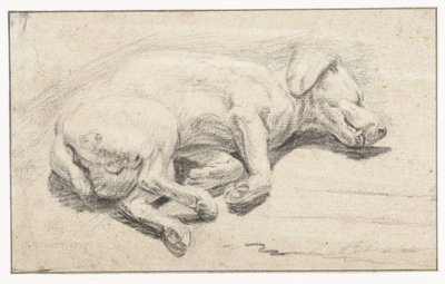 Liggande hund, sover av Joannes Fijt (attributed to)