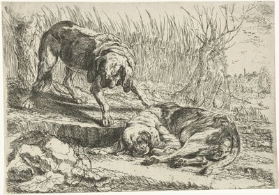 Två hundar Hundar (serietitel) av Joannes Fijt