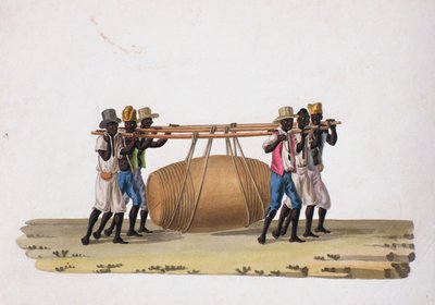 Vinbärare (wc på papper) av Joaquim Candido Guillobel