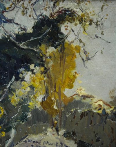 Baum av Joaquim Mir i Trinxet