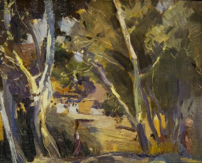 Miravet av Joaquim Mir i Trinxet