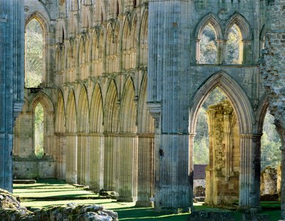 Rievaulx Abbey, c1990-2010 av Joe Cornish