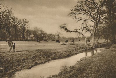 Där Beverley Brook slingrar sig genom Royal Hunting Park of Richmond, c1935. av Joel
