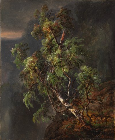 Björkträd i storm av Johan Christian Dahl