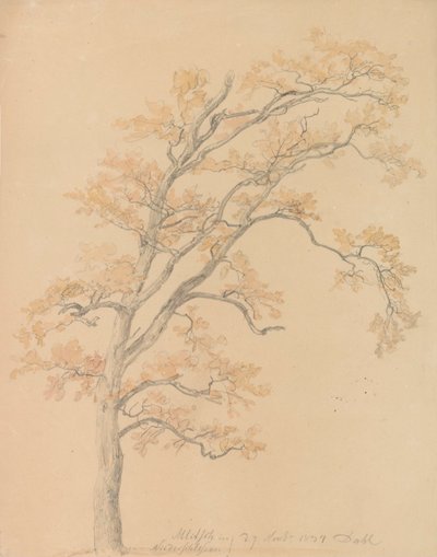 Ekar med höstlöv, Milicz av Johan Christian Dahl