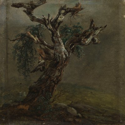 En knotig björkstam. Studie av Johan Christian Dahl